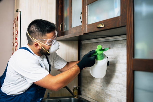 Best Pest Prevention Services  in North Rock Springs, WY