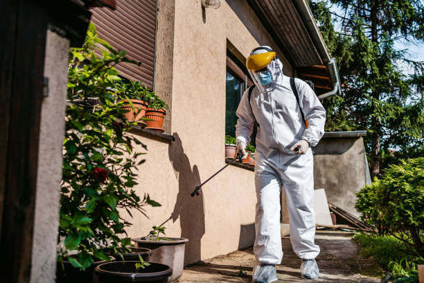 Insect Control in North Rock Springs, WY