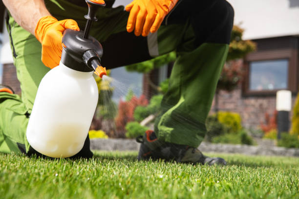 Best Affordable Pest Control Services  in North Rock Springs, WY