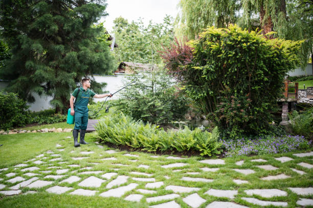 Best Affordable Pest Control Services  in North Rock Springs, WY