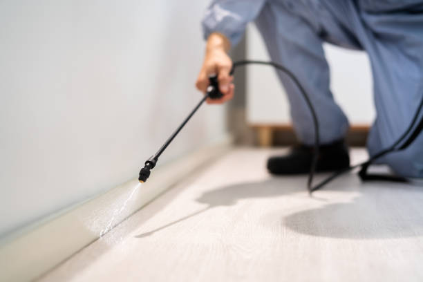 Best Pest Removal Services  in North Rock Springs, WY