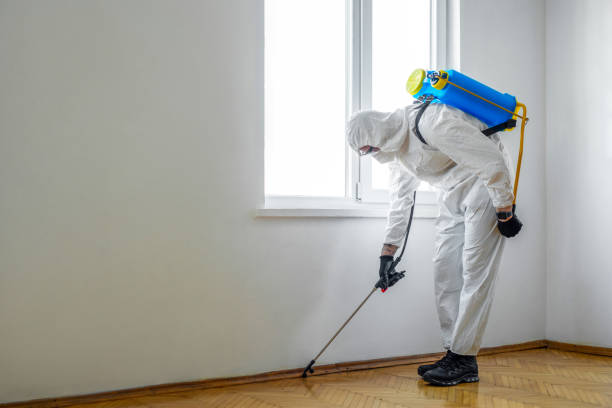 Best Flea Control Services  in North Rock Springs, WY