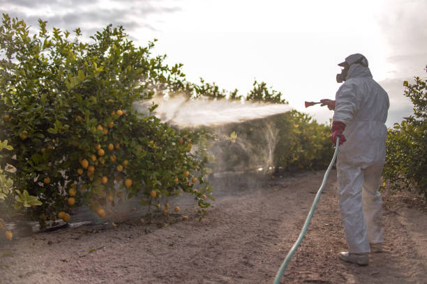 Best Rat Extermination Near Me  in North Rock Springs, WY