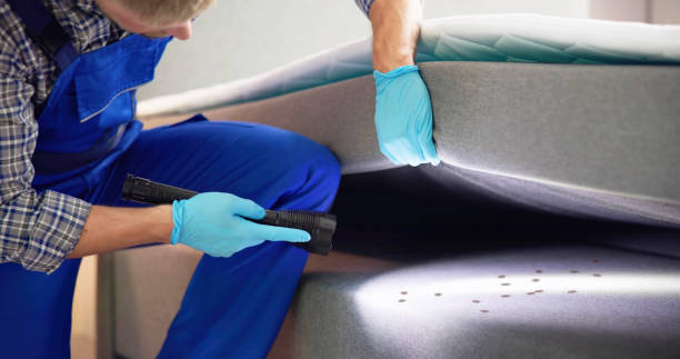 Best Pest Prevention Services  in North Rock Springs, WY