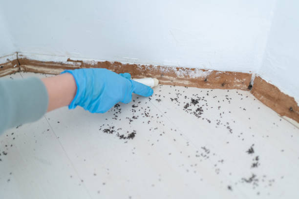 Best Best Pest Control Companies  in North Rock Springs, WY