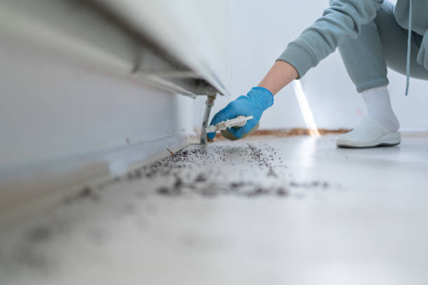 Best Best Pest Control Companies  in North Rock Springs, WY