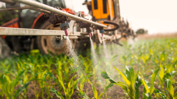 Professional Pest Control in North Rock Springs, WY